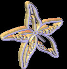 Animated Moving Starfish