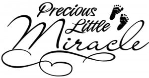 Precious-Little-Miracle-Baby-Decor-vinyl-wall-decal-quote-sticker ...