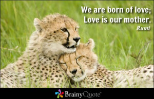 We are born of love; Love is our mother. - Rumi