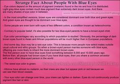 ... fact about people with blue eyes more facts about eyes brown eyes eyes
