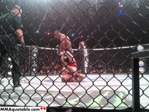 ... quotes inspirational quotes ufc quotes mma quotes buddhist death