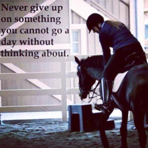 equestrian nevergiveup quotes of the day quotes of the day quotes ...