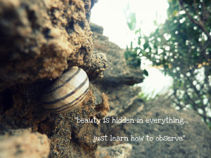 Beautiful Landscape Quotes