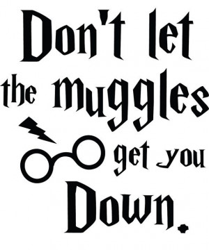 00 FREE SHIPPING! Don't let the muggles get you down Harry Potter ...