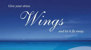Let Fly Quotes Hawaii Dermatology Pictures
