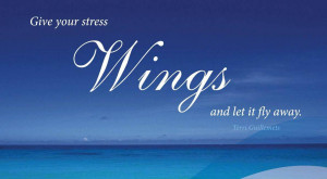Let Fly Quotes Hawaii Dermatology Pictures