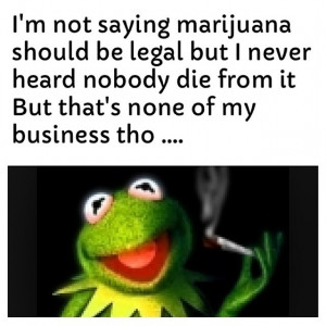 Kermit Quotes The 25 funniest kermit