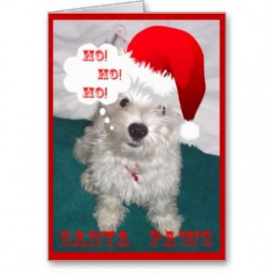 dog christmas photocard photo greeting card