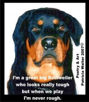 great big Rottweiler who looks really tough, but when we play, I ...