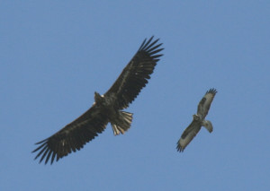 Love is the only way