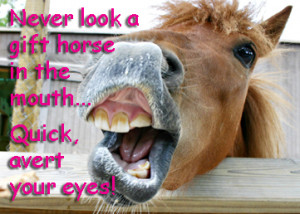 Pinnable Horse Quotes and Sayings