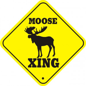 Moose Quotes