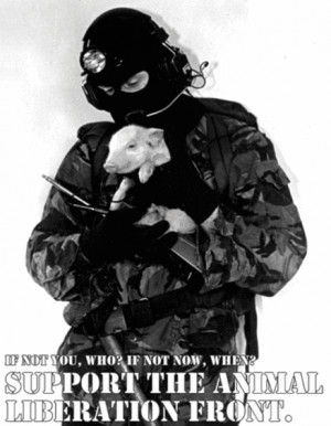Animal Neglect Quotes The animal liberation front