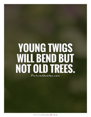 Young Quotes Proverb Quotes Adaptable Quotes