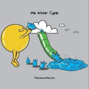 The water cycle