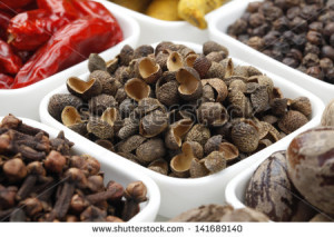 of raw Authentic Indian Spices on square bowl on white background ...