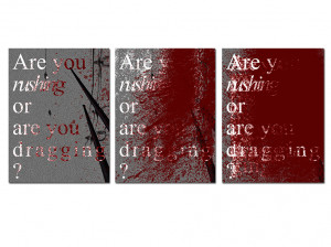 Below a montage of my three posters that you can find in the poster ...