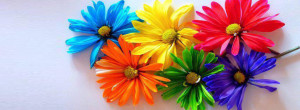 Colourful flowers - Flower FB Cover