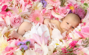 Desktop child, baby, flowers