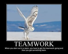 ... quotes teamwork quotes teamwork quotes teamwork quotes teamwork quotes