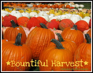 photo of: Pumpkins on Parade from RainbowsWithinReach