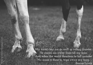 ... threatens to fall asunder His mane is there to wipe away my tears