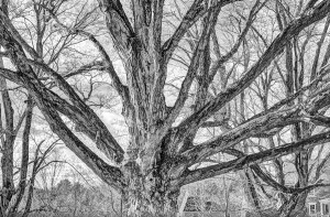 Funny Quotes Contact Us DMCA Notice