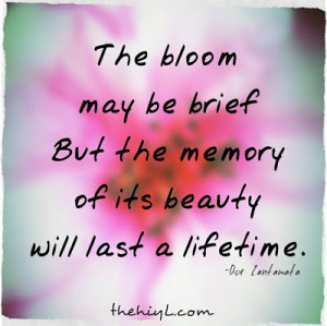 The bloom may be brief but the memory of its beauty will last a ...