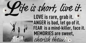 Life is short, live it! Quote about love, anger, fear, memories ...