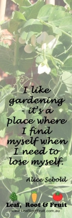 like gardening - it's a place where I find myself when I need to ...