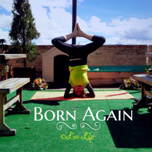 Copyright © Live Life Nutrition for the Soul, 2013. All rights ...