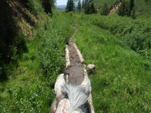 Riding horses in the mud