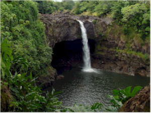 PopularHawaiian Words and Phrases!