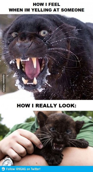 How I feel when yelling at someone