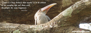 Birds with Quote Facebook Cover