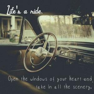 Butterflies and pebbles / Facebook. Com