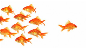 Should You Follow Conventional Wisdom?