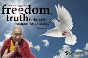 ... struggle for freedom truth is the only weapon we possess - Dalai Lama