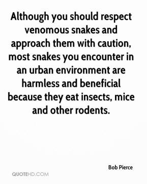 respect venomous snakes and approach them with caution, most snakes ...