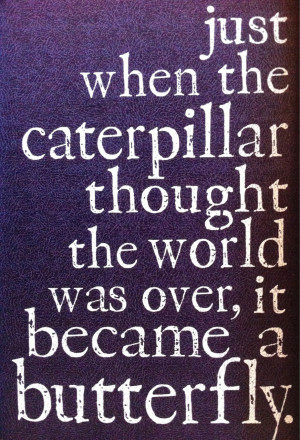 Just when the caterpillar thought the world was...