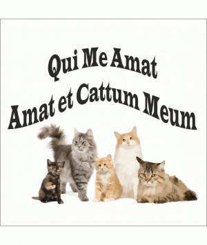 LOVE ME LOVE MY CAT - (In Latin) - Men's T-Shirt Funny Latin language ...