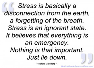 stress is basically a disconnection from natalie goldberg