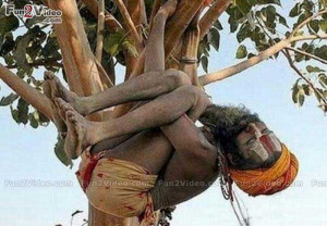 Watch this funny indian picture of sadhu funny sleep who is hanging ...