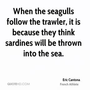 Seagulls Quotes