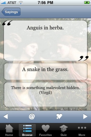 latin quotes and meanings