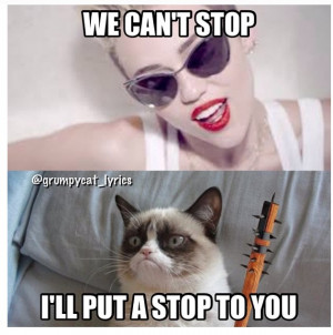 We Cant Stop Miley Cyrus Meme Ill Put A Stop To You Grumpy Cat Meme