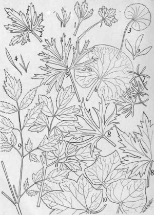 faustagiordanofanclub....second chances xanga quotes