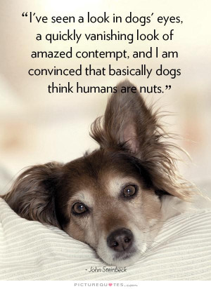 Dog Quotes John Steinbeck Quotes