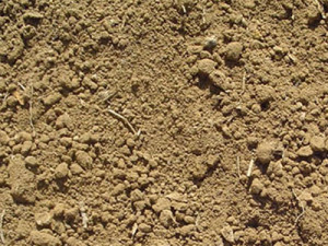 Soil Fill Dirt Products