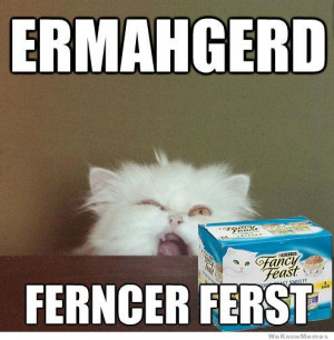 The ermahgerd meme has spread to the animals here are the 10 funniest ...